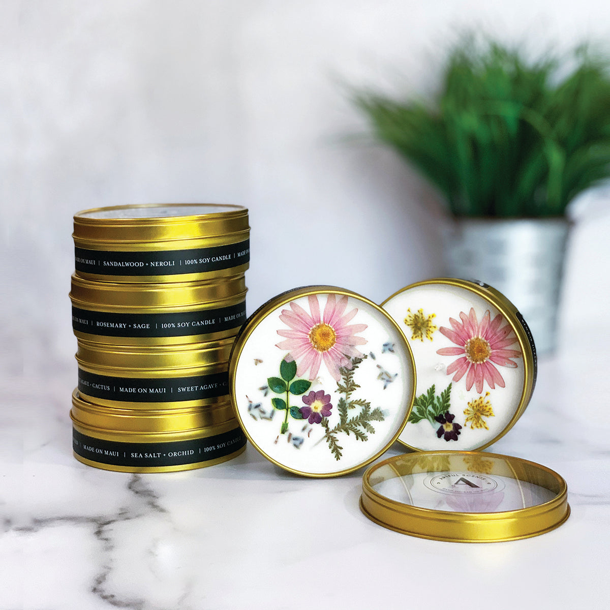 Sandalwood + Neroli
